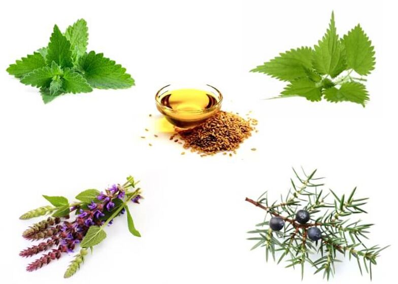 Mint, dankel, thyme, juniper a linsed Ueleg